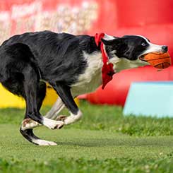 The Bridge Kanata Church